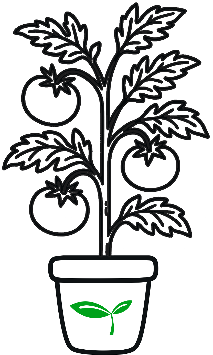 Tomato plant with fruit icon